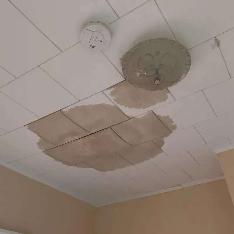 Ceiling Water Damage Repair in Chalmette, LA